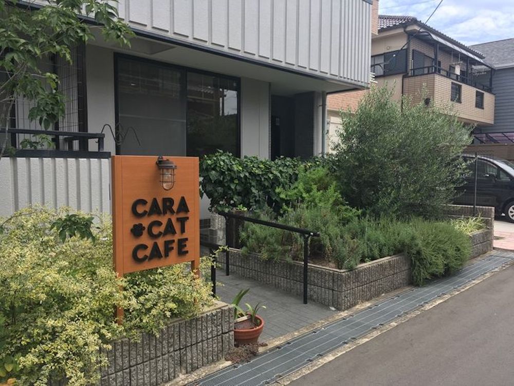 『Cara Cat Cafe（カーラ キャット カフェ）』外観画像